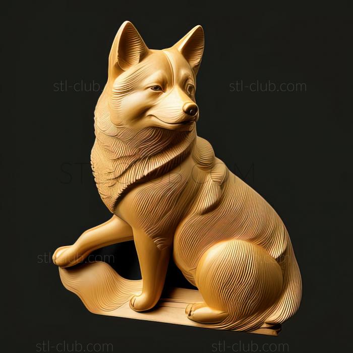 st Shikoku dog breed dog